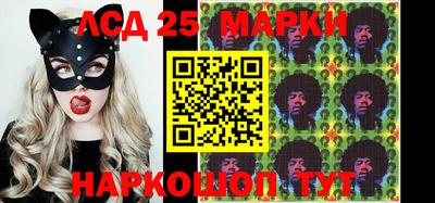 крисы Новозыбков
