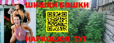 крисы Новозыбков