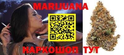 крисы Новозыбков