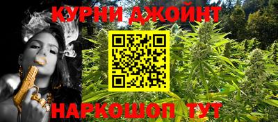 крисы Новозыбков
