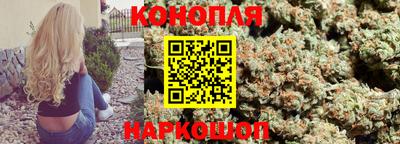 крисы Новозыбков