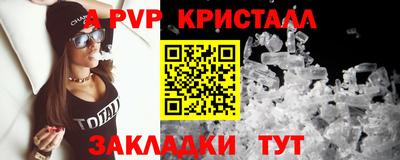 крисы Новозыбков