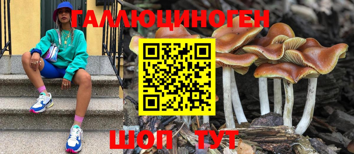Урус-Мартан  Галлюциногенные грибы GOLDEN TEACHER  Вход с VPN 